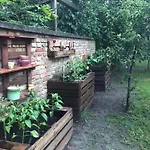 Apartment - Garden - Vendeghaz *