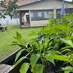 Apartment - Garden - Vendeghaz