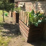 - Garden - Vendeghaz Apartment