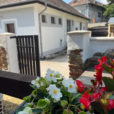 - Garden - Vendeghaz * Nesvady