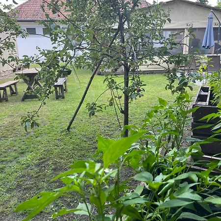 - Garden - Appartamento