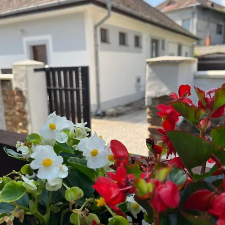 - Garden - Vendeghaz Apartment *