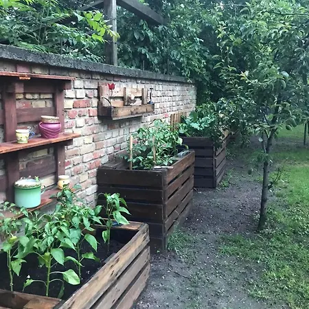 Apartment - Garden - Vendeghaz *