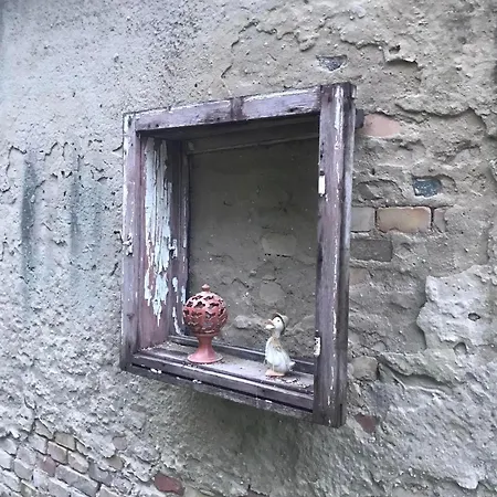 - Garden - Vendeghaz