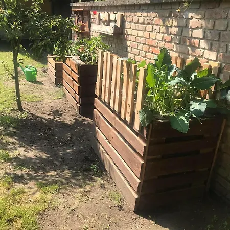 - Garden - Vendeghaz Apartment