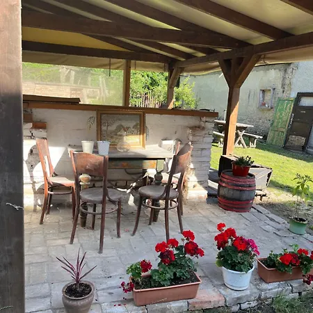 Apartment - Garden - Vendeghaz *